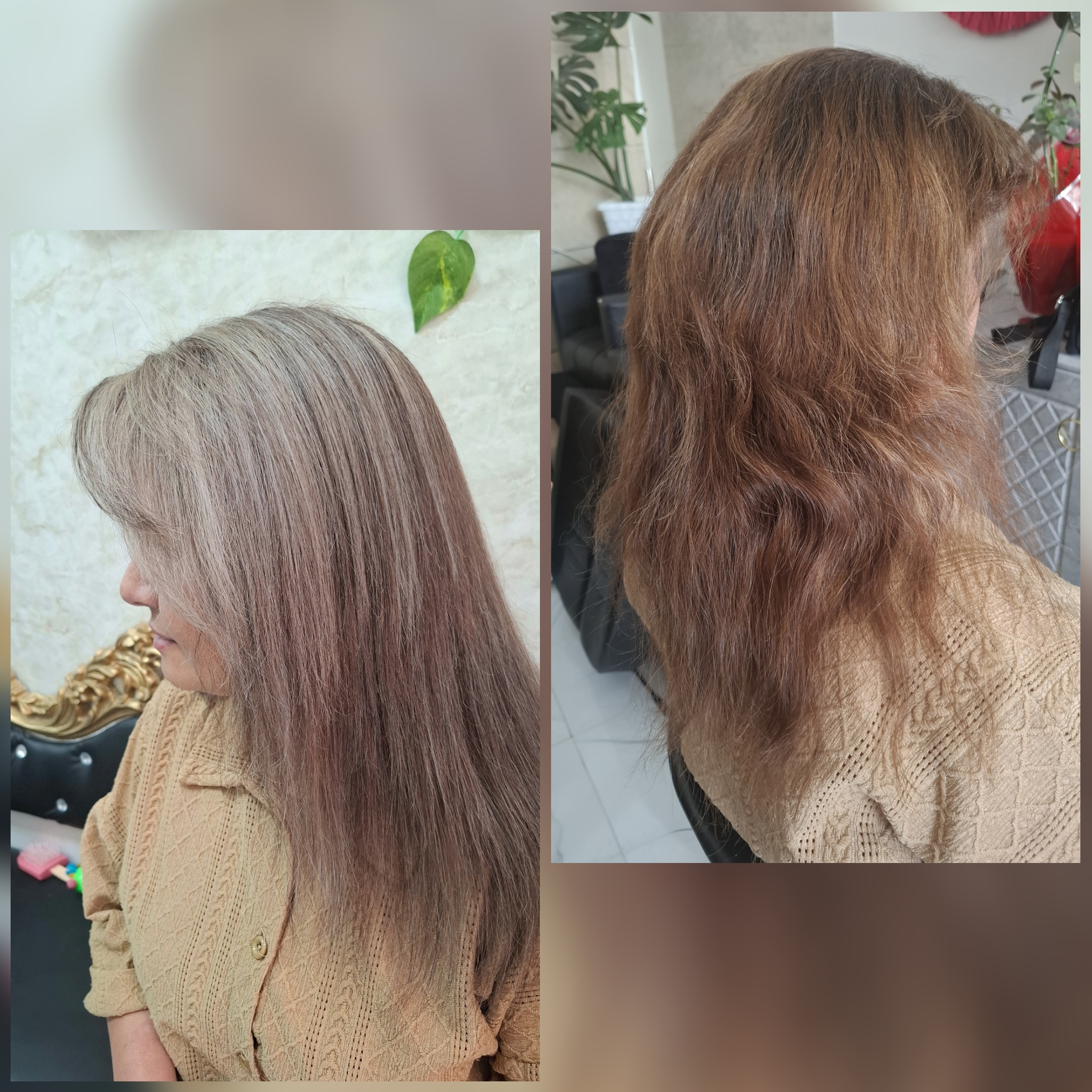 رنگ و لایت